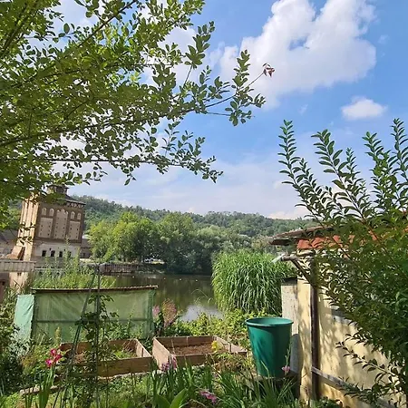 Saalemaus 나움부르크