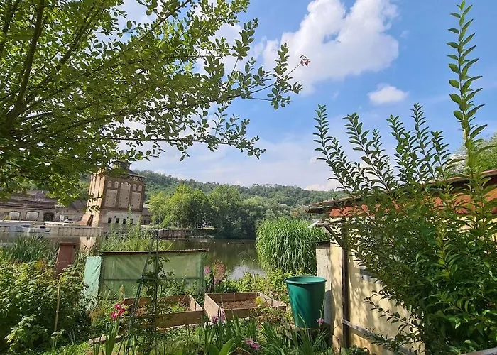 Saalemaus ناومبورغ